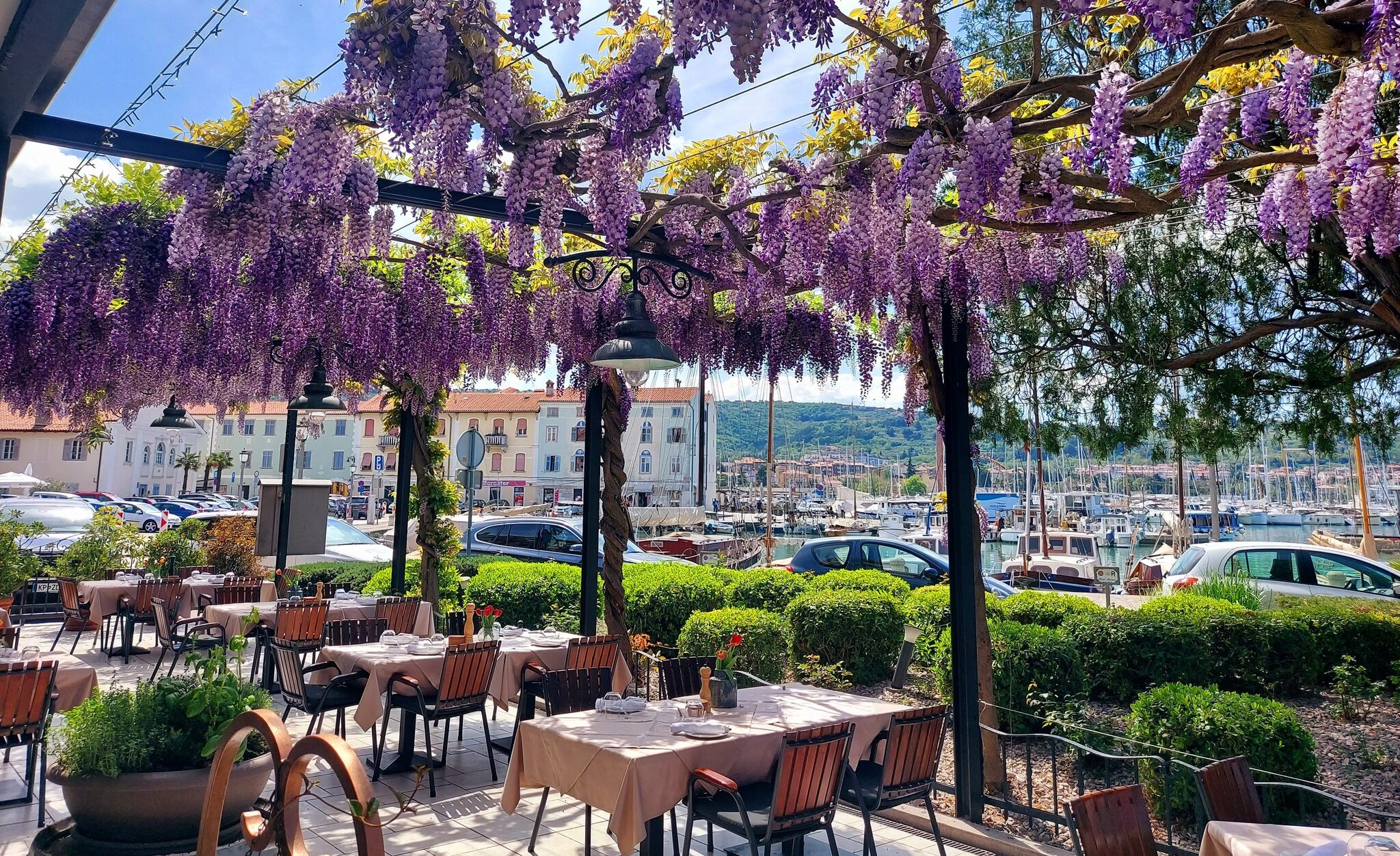 MARINA RESTAURANT Izola Slovenia Adriatic Coast Hostel Museum