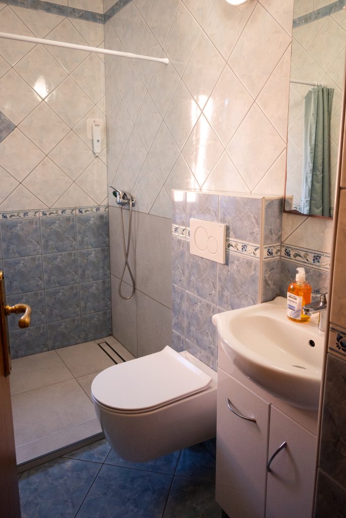 HOSTEL MUSEUM - Twin Room with Shared Bathroom - Dvoposteljna soba s souporabo kopalnice